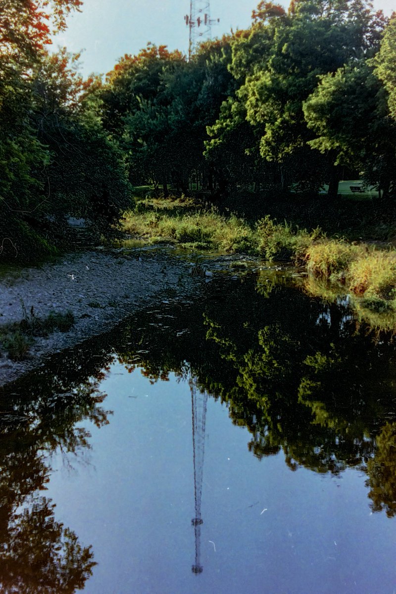 DarckArtist's tweet photo. home developed photo on 35mm color film https://t.co/f4YtJzCNRW