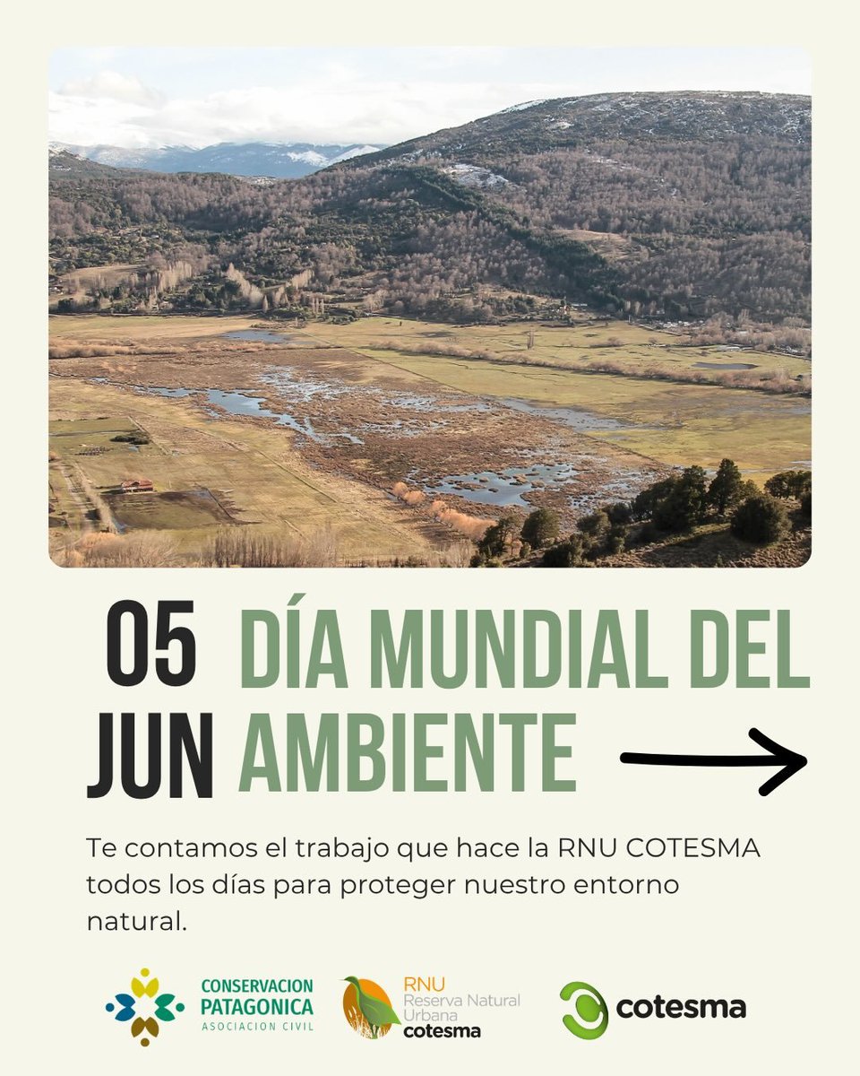 cotesma's tweet photo. 🌎 Día Mundial del Ambiente: oportunidad para reflexionar sobre nuestra relación con la naturaleza.

La Reserva Natural Urbana COTESMA protege biodiversidad, impulsa ciencia, educación y el encuentro con la comunidad 🌿

Cuidar el ambiente es tarea diaria.

#DiaMundialDelAmbiente https://t.co/9BeGcjyaeP