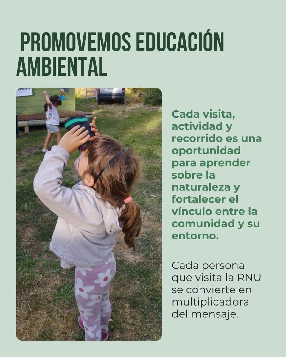cotesma's tweet photo. 🌎 Día Mundial del Ambiente: oportunidad para reflexionar sobre nuestra relación con la naturaleza.

La Reserva Natural Urbana COTESMA protege biodiversidad, impulsa ciencia, educación y el encuentro con la comunidad 🌿

Cuidar el ambiente es tarea diaria.

#DiaMundialDelAmbiente https://t.co/9BeGcjyaeP