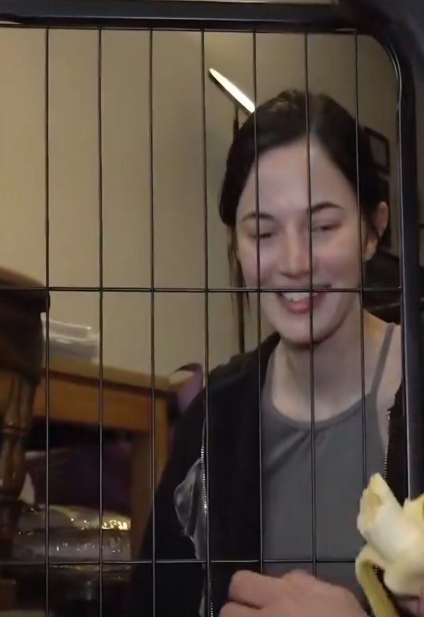 pinaughty's tweet photo. @wilding_gyres " I'm glad I didn't get arrested."
Do I sense foreshadowing? https://t.co/ZDPiK8BpAr