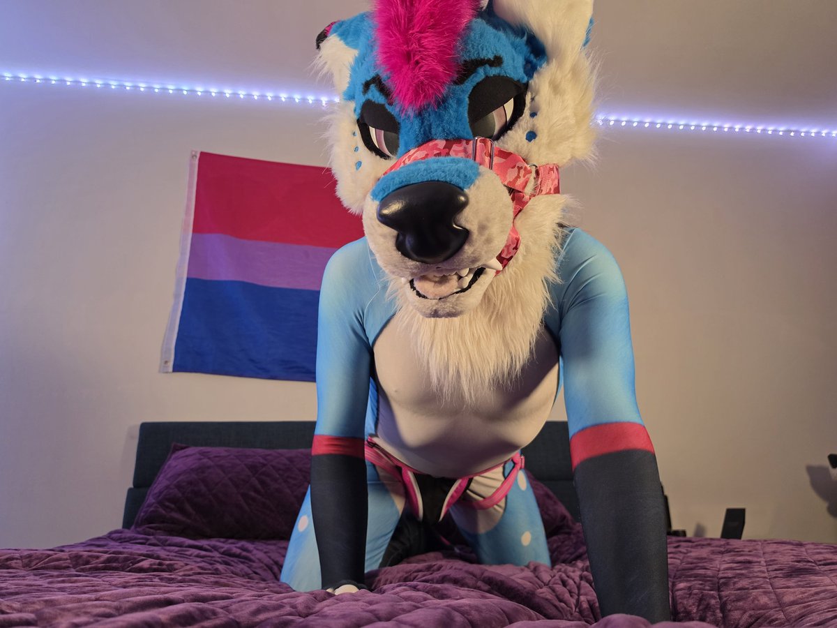 RalphTheFoxhole's tweet photo. Your POV as you enter the fox den. 

📸 @YeenLewds https://t.co/GVjiDMnD8M