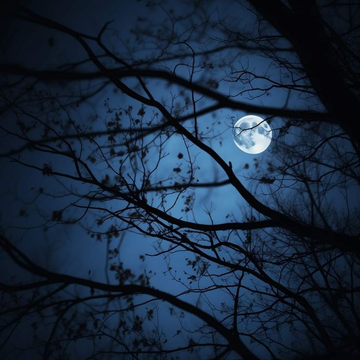 earth_moonw's tweet photo. https://t.co/OxpCsDul0P