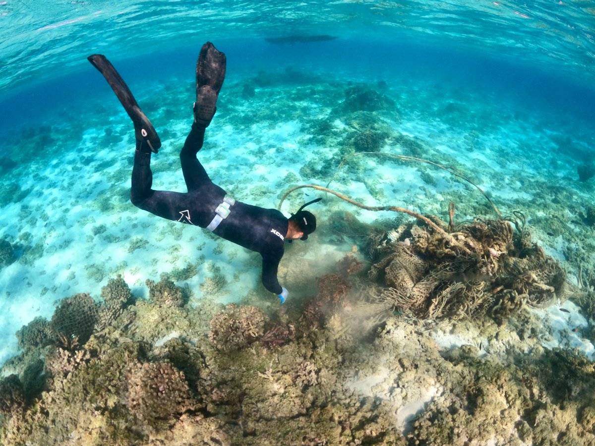 NOAACoral's tweet photo. Happy 20th anniversary to @NOAADebris! 🌊🥳 For two decades, they’ve cleared millions of pounds of trash from our waters, and protected fragile #CoralReef ecosystems from smothering nets and plastics.
See their impact: https://t.co/JZCn4Ogf8W https://t.co/ttBgpSVV79