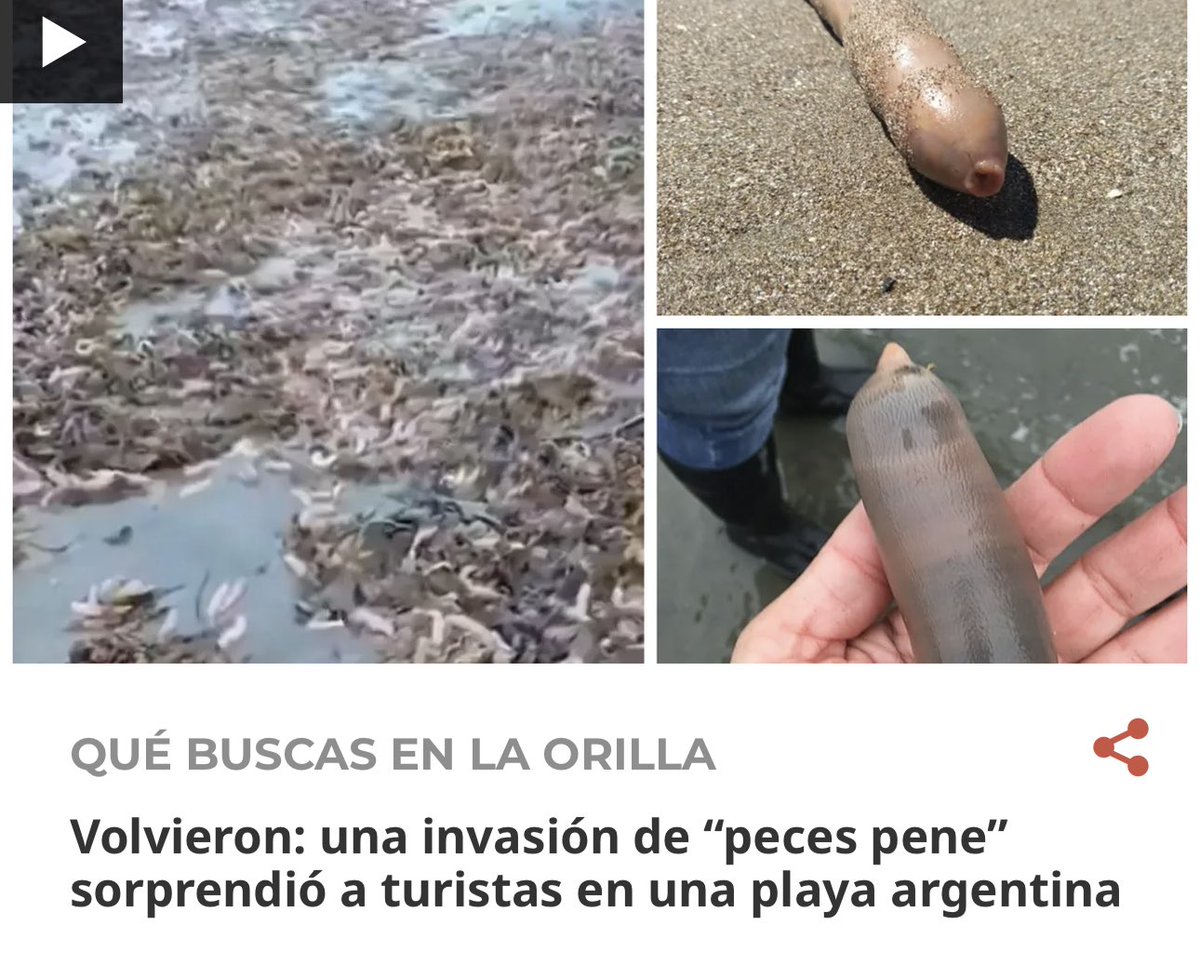 Kinxoc's tweet photo. @ruleiro @elotroduarte @pez_out #SupremoCompleto https://t.co/VT6Zvcm3jF