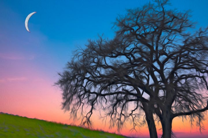 Studio518's tweet photo. Art of the Day! "Moon Shadow". Buy at: https://t.co/CNEDxEMrRi https://t.co/J7aLvPBmZa