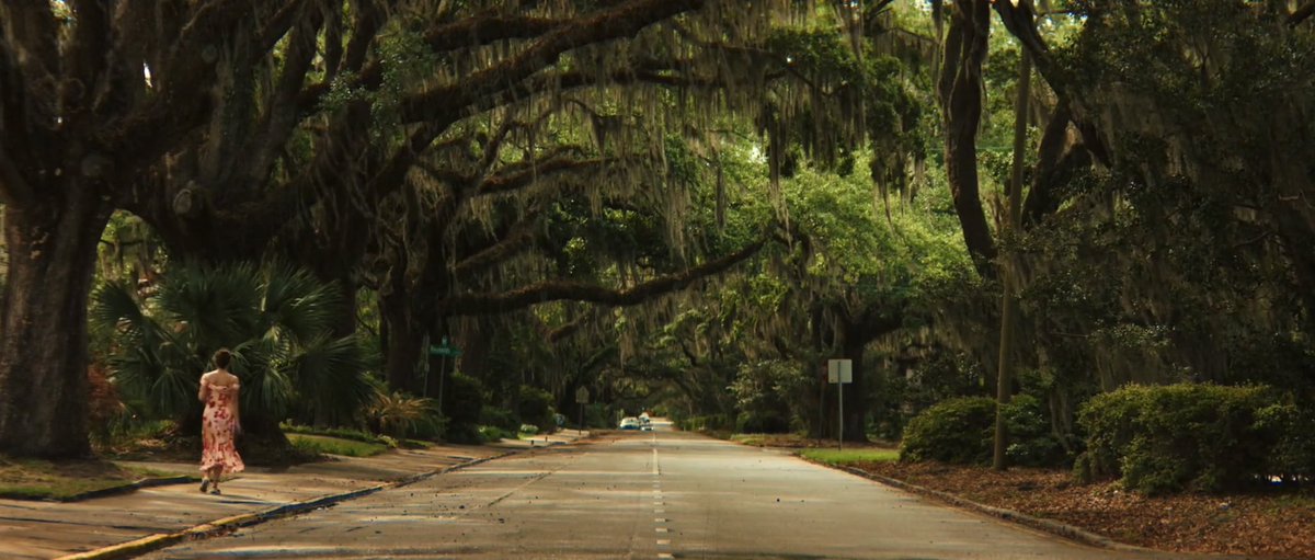 thisismyspace0's tweet photo. Cape fear - Episode 1 https://t.co/2oy2mWwHYz