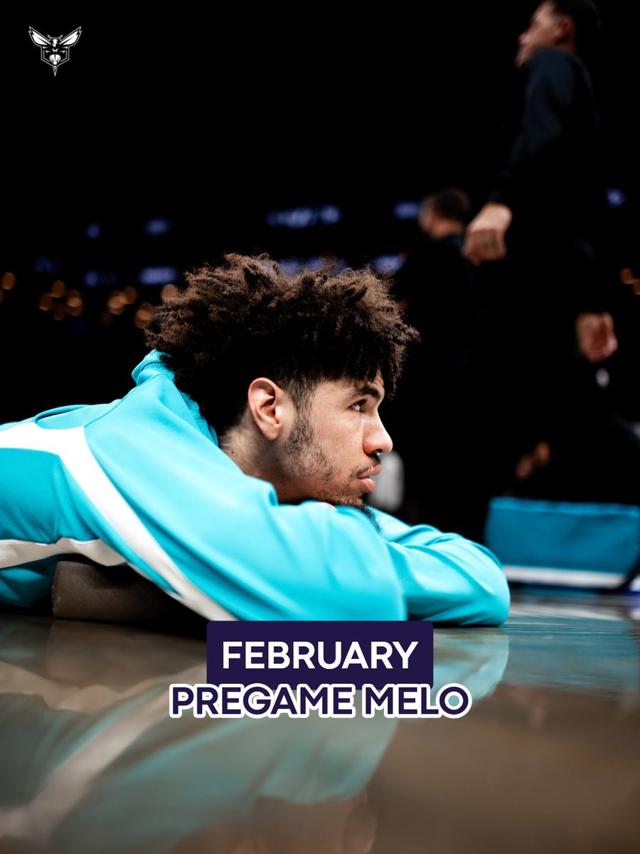 QCSilverback's tweet photo. @hornets @MELOD1P https://t.co/cNf7GCXzul