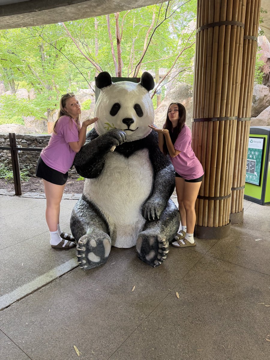 HackMSTigers's tweet photo. Quick visit to the National Zoo. 🐘🐼 https://t.co/jLMZz9SLEp