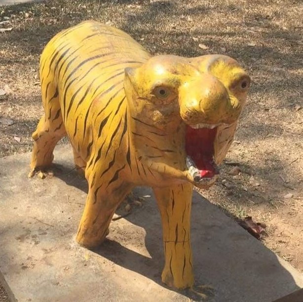 Morris_Mty's tweet photo. Así quedó la imagen internacional de los tigres, después de la vergüeza con Japón. https://t.co/JeGMBlhxs3