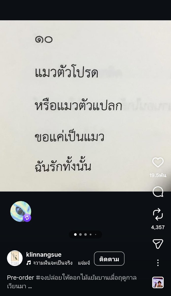 bubblesthanks's tweet photo. เจ้าของแมว แมว‘ตัวโปรด’
( #ท่านโปรดคลื่น , #treewave ) https://t.co/cABXaNdmT5