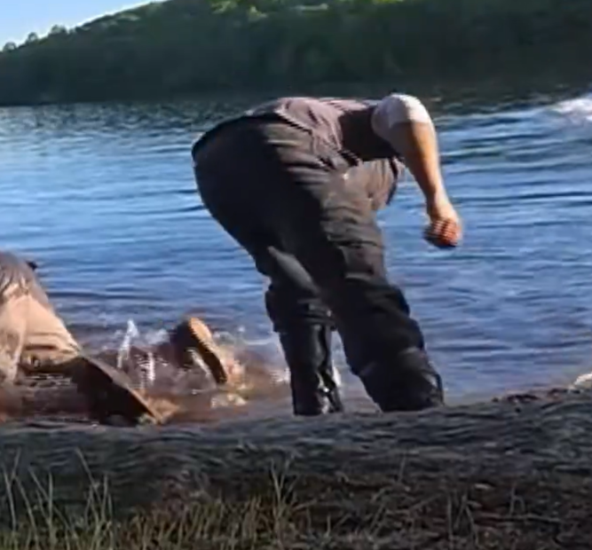 AI_EmeraldApple's tweet photo. @LASHYBILLS I like how their first reaction was to pick up the phone out of the water before helping their friend who was being murdered. https://t.co/UvdwuGDFYs