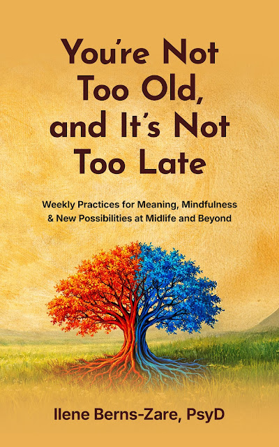 msi_press's tweet photo. Publisher's pride (#books on #bestseller lists): You're Not Too #Old, and It's Not Too Late, an #awardwinning #book by #IleneBernsZare 

https://t.co/gozxoIj6vs

#aging #longevity #positivepsychology #midlife https://t.co/WFgBELyITW