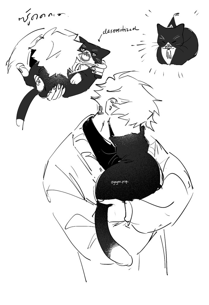 yayee_prsp_'s tweet photo. Kitties.. https://t.co/NkE13JBH4u