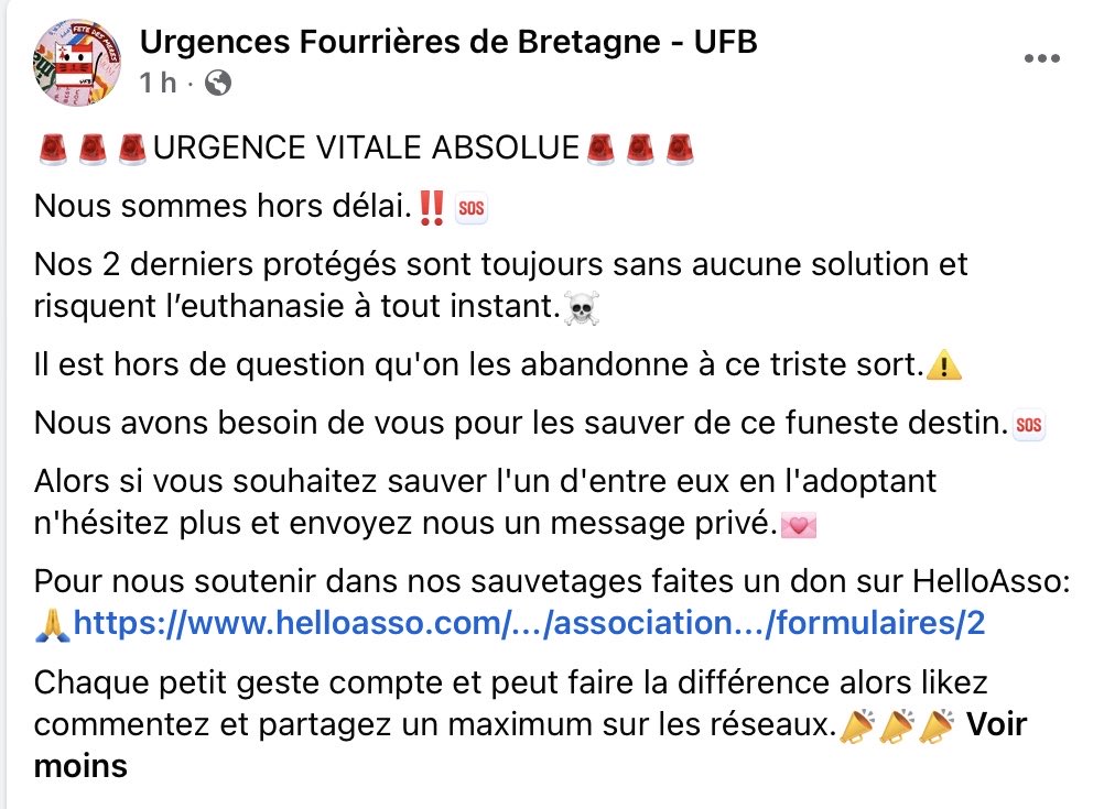 MAROBA3807's tweet photo. 🆘🆘🆘 URGENCE ABSOLUE POUR SAUVER CES 2 CHATS DE L’EUTHANASIE !!! ILS SONT À L’ADOPTION, ET DÉJÀ HORS DÉLAI 🆘🆘🆘🆘🆘🆘🆘🆘🆘🆘🆘🆘🆘🆘🆘🆘🆘🆘

En fourrière dans le département 22 https://t.co/j2RD9qjwe5