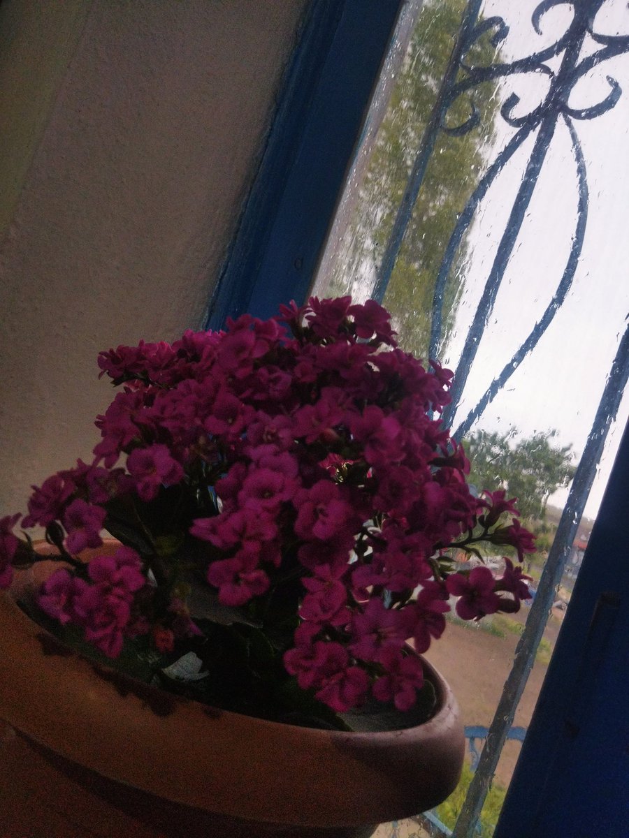 seashell_q's tweet photo. Caddelerde Rüzgar🎶 https://t.co/XYdm3eTdSD