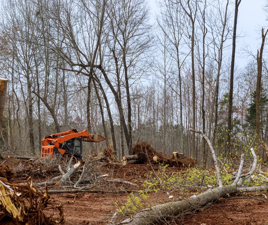 tree_doug's tweet photo. Need a tree removed from your property ASAP? We can help, just give us a call!
📞 - (443) 721-3338
💻 - https://t.co/UHScrZMtif

#DougsTreeService #TreeService #TreeRemoval #TreeTrimming #TreePruning #TreePlanting #Planting #Professional #Experts #Tree #Maintenance #Trimming https://t.co/5F2GeNWkih