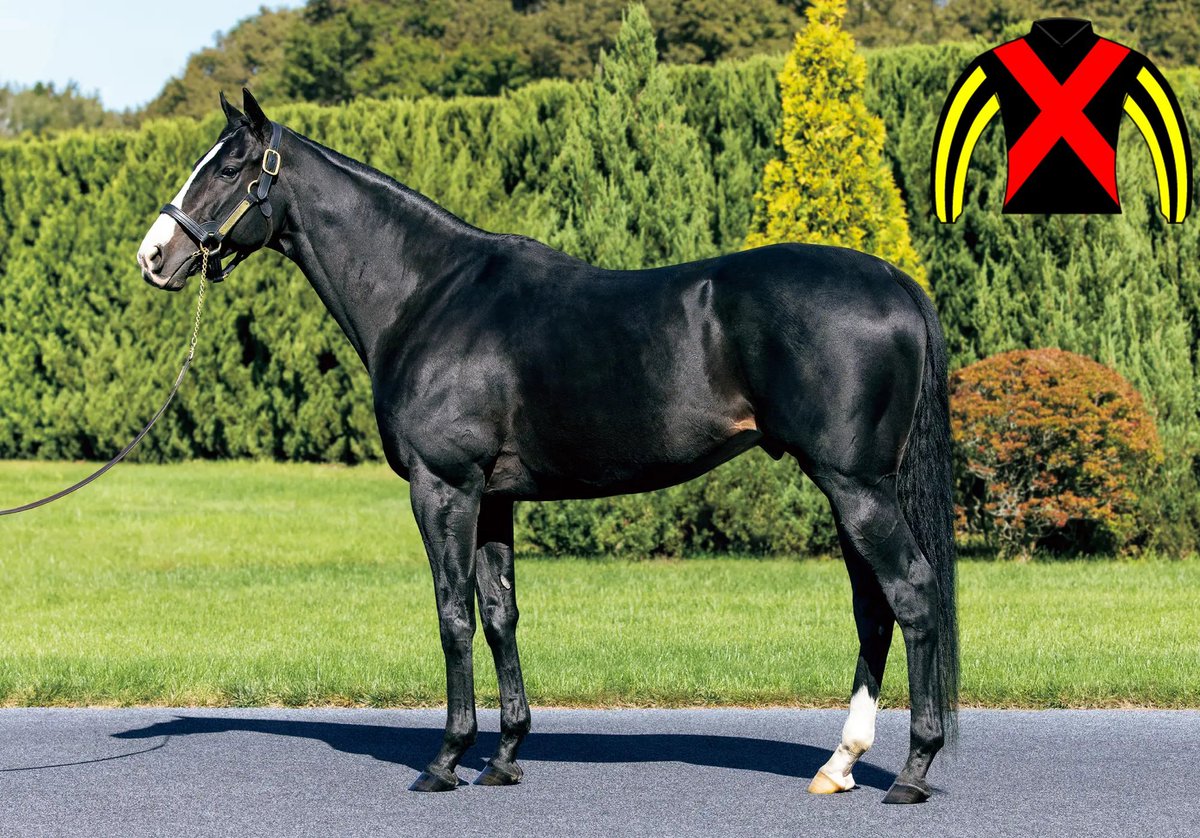 NakayamaFesuta1's tweet photo. Equinox offspring for Shadai Stallion Station Thread https://t.co/QlCPrApW3k