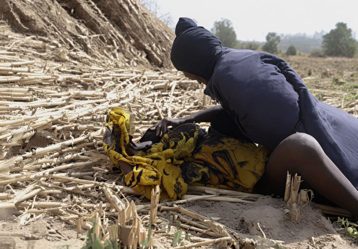 musa_kiliya's tweet photo. This is not a new thing we all know there’s no way these animals will kidnapped women and keep them safe!

Chibok, Borno State (2014): 276 schoolgirls were abducted by Boko Haram. Multiple rescued survivors reported forced marriages, rape, and sexual slavery during captivity. 

Dapchi, Yobe State (2018): 110 schoolgirls were kidnapped by Boko Haram. While most were later released, the abduction highlighted the continuing targeting of girls by terrorist groups. 

Jangebe, Zamfara State (2021): 317 schoolgirls were abducted by armed bandits from the Government Girls Secondary School. 

Afaka, Kaduna State (2021): Students, including female students, were abducted from the Federal College of Forestry Mechanisation. 

Kuriga, Kaduna State (2024): 287 pupils and students were kidnapped in a mass abduction.
