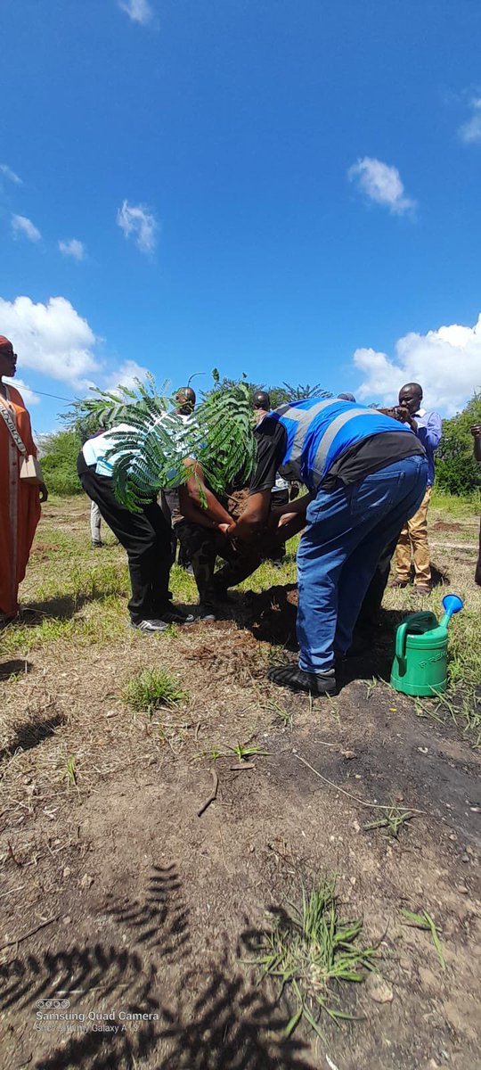 tanawetrust's tweet photo. “A Global Call for Climate Action"
We joined stakeholders to commemorate #WorldEnvironmentDay we engaged learners at Gamba Comprehensive School in meaningful discussions on climate change, environmental conservation, and locally led solutions by planting 1,000 trees #Act4Climate https://t.co/K4q12PJEFR