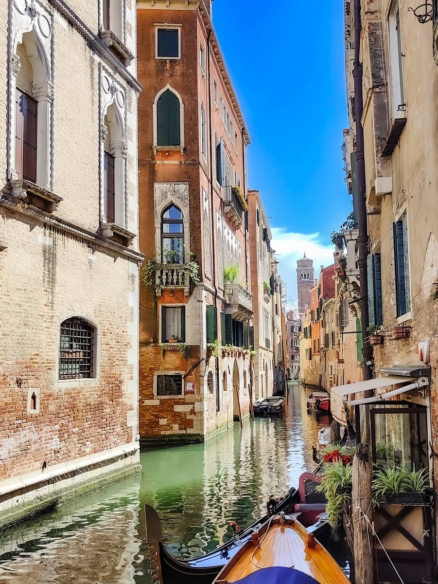 MozartCultures's tweet photo. Venice https://t.co/bz7LGPBEpW