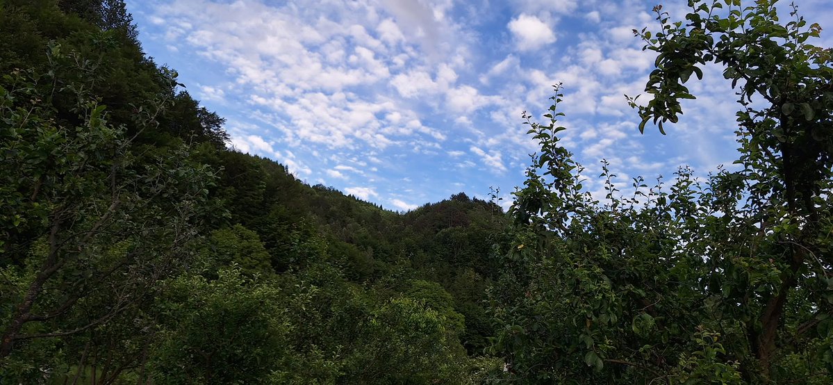 dragos2004's tweet photo. „Oamenii fotografiază vara ca, in caz că cineva crede ca au pierdut-o, să le arate că ea chiar a existat." (Ray Davies)
Seară frumoasă! 🤗 🙏 https://t.co/7IzXNrbPkm