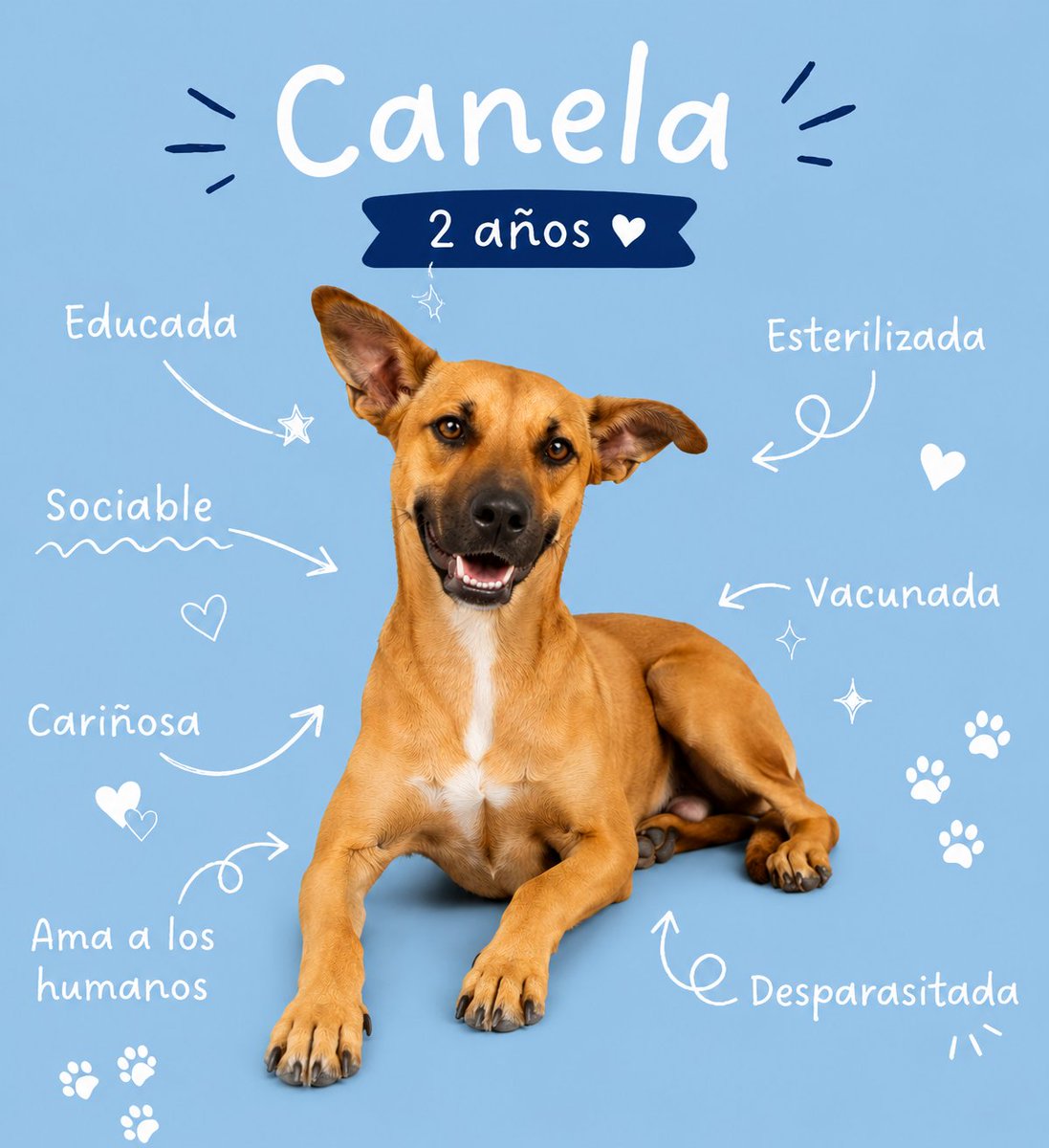 SPAT_AC's tweet photo. Canela fue abandonada en un parque.
Pasó hambre, enfermedades y momentos muy difíciles... pero a pesar de todo, nunca perdió su nobleza ni sus ganas de dar amor.
Conocela este sabado en #Petco @Tampico área de adopciones de 3-7pm #PrimeroAdopta 🐾🐶♥️ https://t.co/fnvHtlAyTg