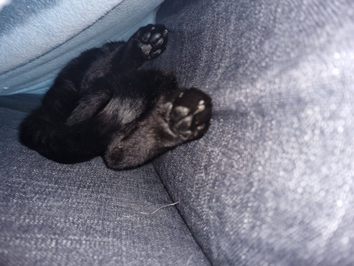 napeyatch's tweet photo. @PickliciousF #liquoricebeans. Billy The Bastard's Only Feet account will be live soon! https://t.co/56iCqT9X56