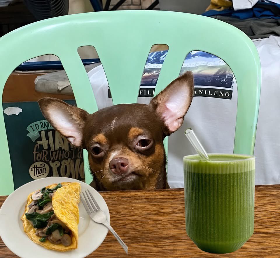 Guarromantico_'s tweet photo. Otros desayunando    //     Yo https://t.co/uleri67HYe