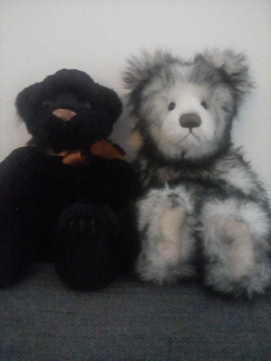 CricketNut2005's tweet photo. @keepfits Hello Henry #keepfits from Zooey &amp; Finley 🧸🖤🐈‍⬛🧸🤍🩶🖤🧸🤍👍👍. https://t.co/Z2Q4MEangH