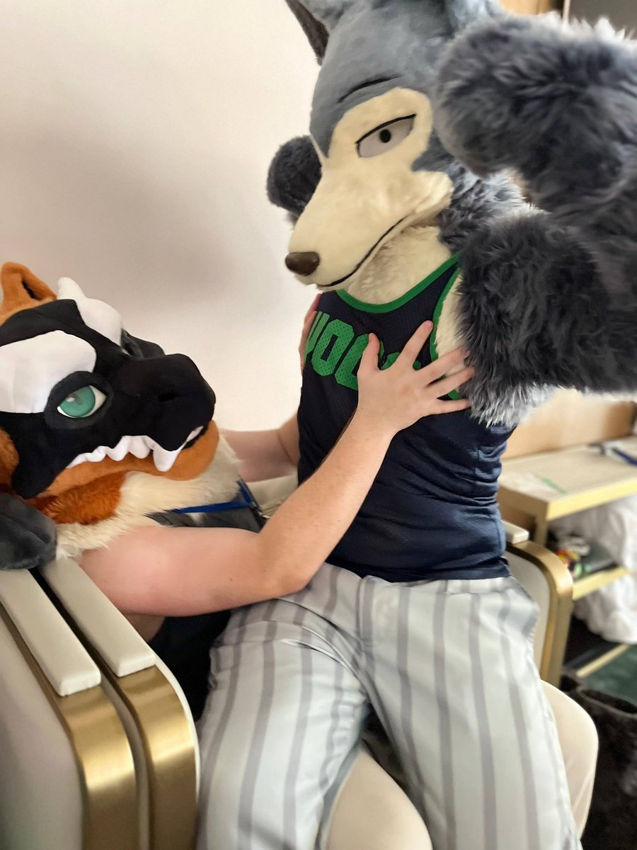 JustAGyer's tweet photo. Muscle inspection: Yep, mhm, yep. Everything’s looking up to code here. 

#FursuitFriday
🐺: @differmitt 
📸: @OtterPoetic https://t.co/vcOAp3oPxk