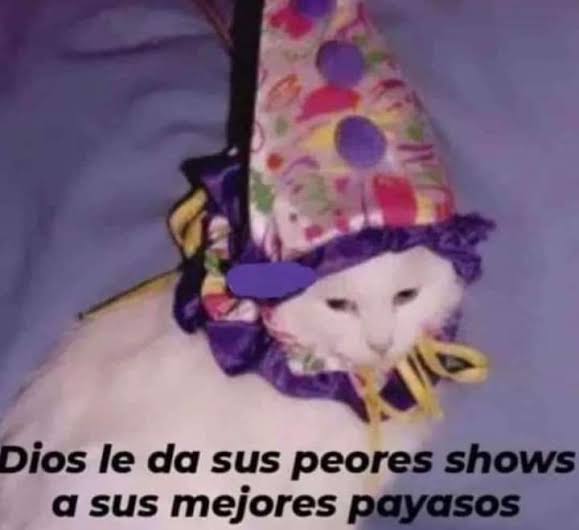 HorrorBarbieF's tweet photo. @Weputa24 @checlerctyres @JesusTequida https://t.co/ali6jJ4MQ4