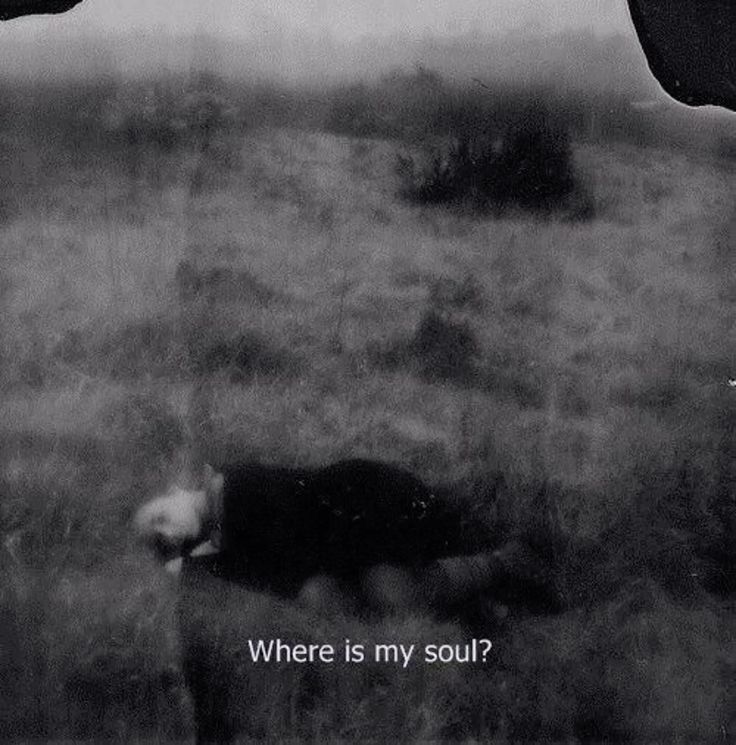1__sadness__1's tweet photo. https://t.co/ZcqKb56yke