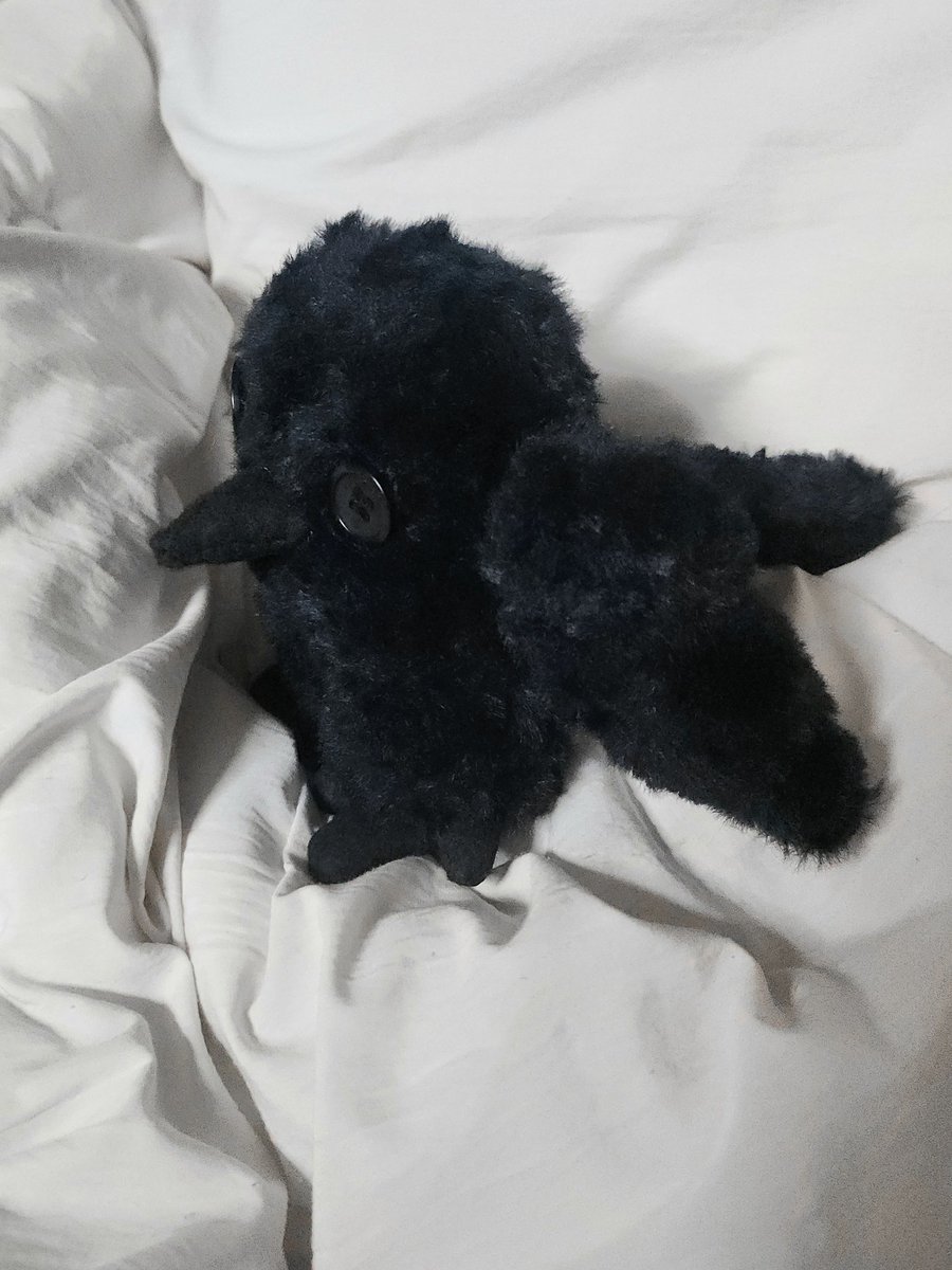 0gamd0's tweet photo. 까마귀 친구 보낸 마음이 너무 헛헛해서 짝퉁 퍼글러 인형 분해 후 까마귀 친구 2호 만들었다. https://t.co/rKThAxSEPZ