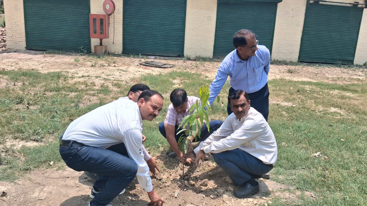 CDORaebareli's tweet photo. आज 'विश्व पर्यावरण दिवस' के अवसर पर विकास भवन परिसर में समस्त जनपद स्तरीय अधिकारियों के साथ मिलकर औषधीय एवं छायादार पौधों का रोपण किया गया। इस मुहिम का मुख्य उद्देश्य सरकारी परिसरों को हरा-भरा बनाना और जन-जन में पर्यावरण संरक्षण के प्रति चेतना जगाना है। वृक्ष हमारे जीवन का मूल आधार हैं। इनकी सुरक्षा और संवर्धन ही हमारी आने वाली पीढ़ियों के सुरक्षित भविष्य की गारंटी है। आइए, हम सब मिलकर अधिक से अधिक पौधे लगाने और उन्हें जीवित रखने का संकल्प लें। #WorldEnvironmentDay #TreePlantation @UPGovt @InfoDeptUP @UpRuralDev @MoRD_GoI