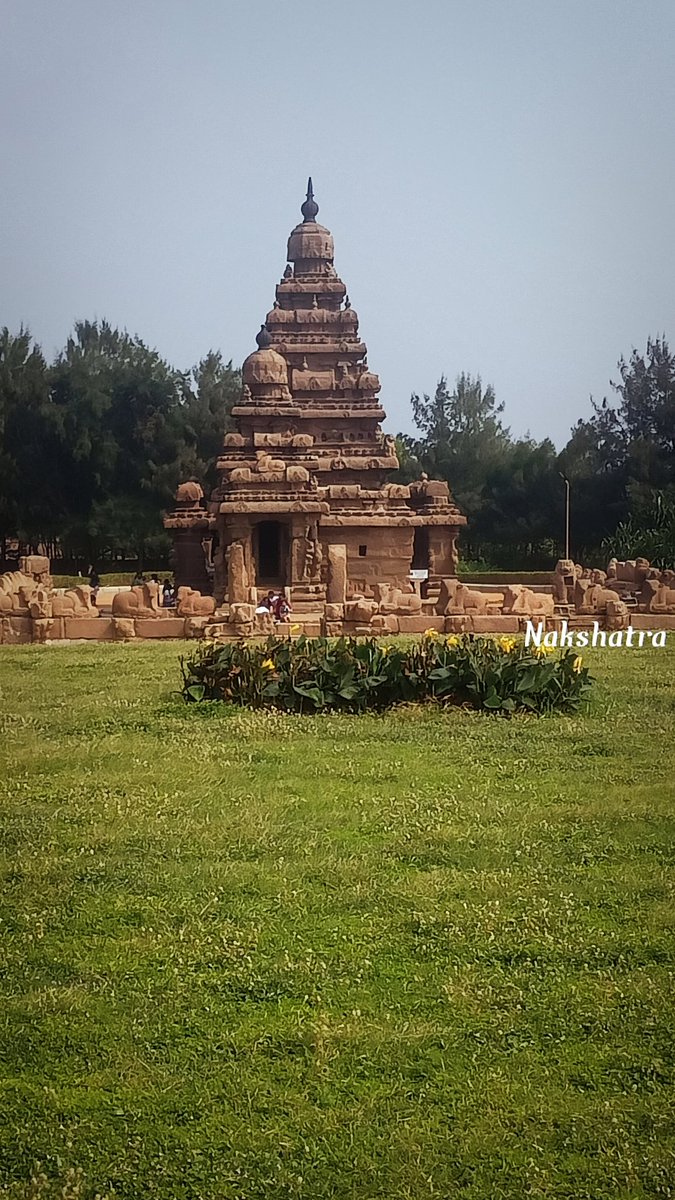 நட்சத்திரா 🌟 tweet media