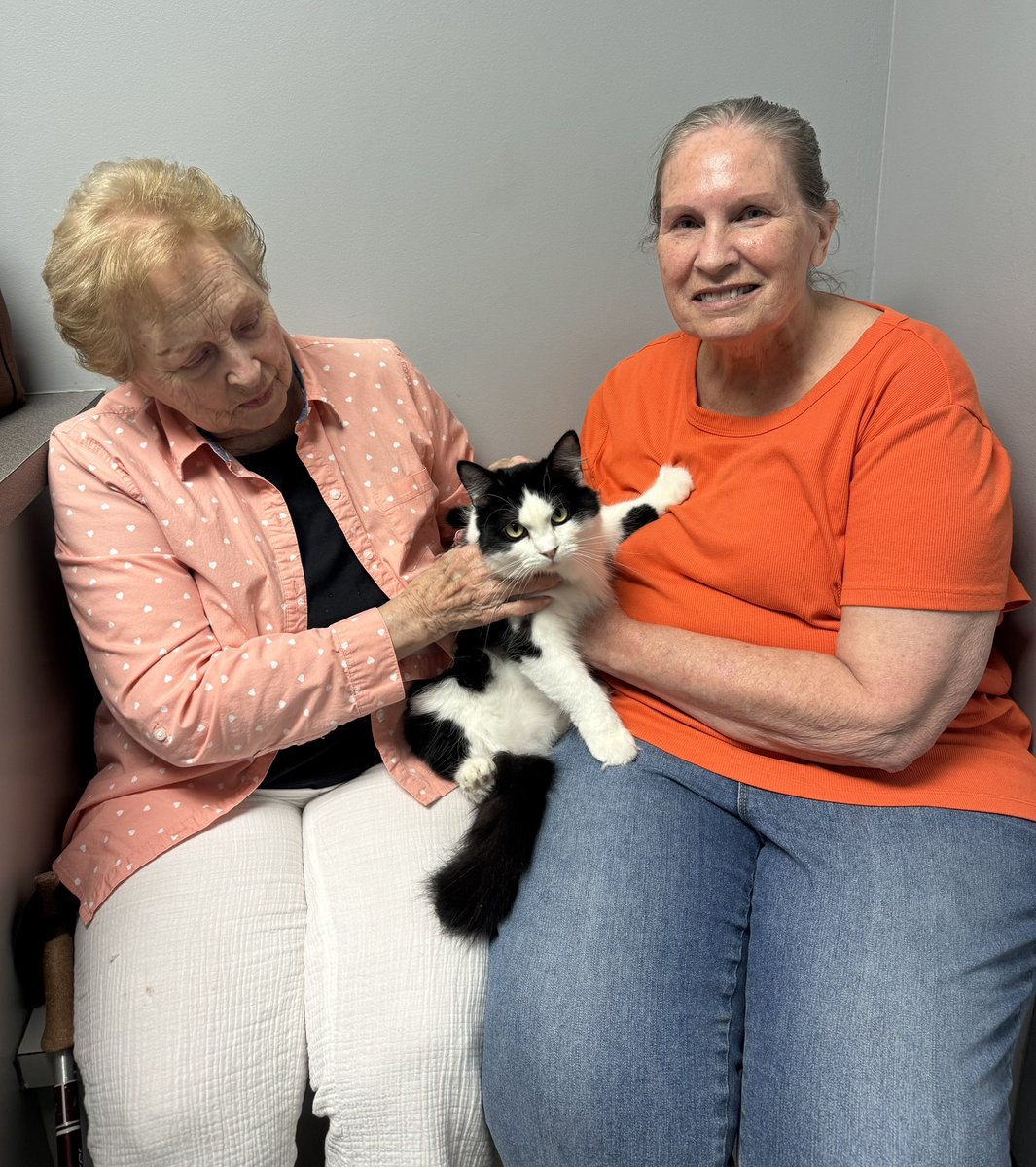 FeralCatProgram's tweet photo. Thanks to our good friends over at Pet Vet Inc, Erika found her forever home!🧡

Congratulations, sweet girl!🎉

#fcpga #WeSaveCats #AdoptACatMonth #petvetinc https://t.co/CY4b5kozPO
