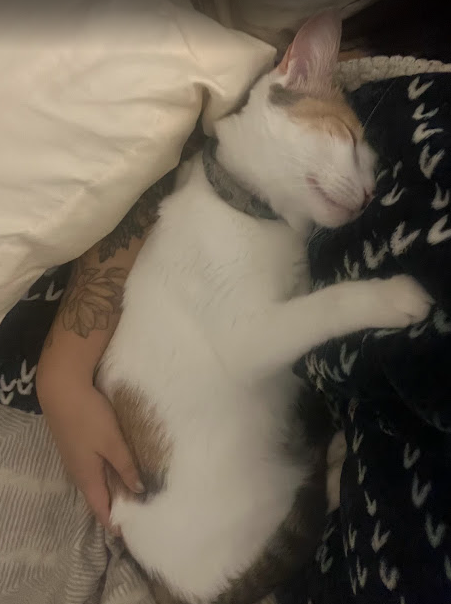 dnorttt's tweet photo. e é um amor que não tem fim ❤️ https://t.co/H54QVGiMZQ