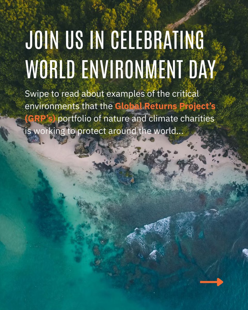global_returns's tweet photo. pt 1: Happy World Environment Day from the Global Returns Project! In a world of increasing pressures on nature and climate, we are proud to support a portfolio of organisations protecting our environments across the globe.🌎 

#worldenvironmentday #nowforclimate #climateaction https://t.co/dvZ02qco1X