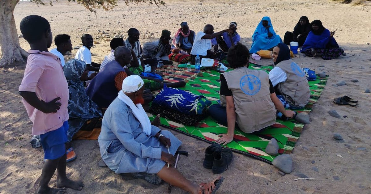 FAOclimate's tweet photo. 🌍Extreme heat is reshaping life in Djibouti. By 2050 temperatures could rise by up to 2.4°C

With @FAO &amp; @theGCF the country is shifting from reacting to crises to anticipating them using #earlywarning to act before disaster strikes

https://t.co/7KwuS9MJcL

#WorldEnvironmentDay https://t.co/Z8XuBrjfh3