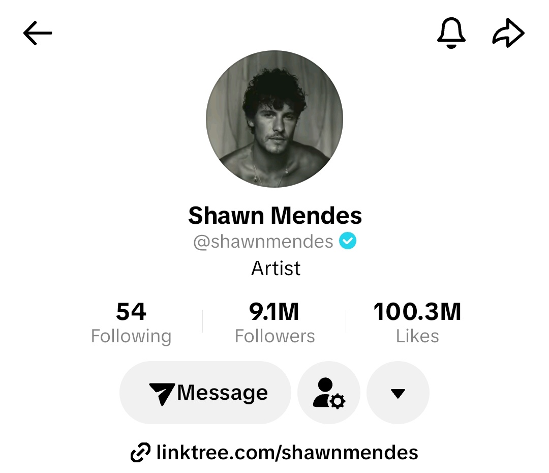 Shawn Mendes Updates tweet media