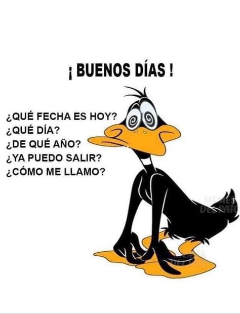 MimichaAttack's tweet photo. @monicapesc @sanamormio1 @AliciaEPanero @AliciaNPanero Holaaa amigas de X,ya no me gusta más el ☃️,quiero el sol 🌞,para colmo de males,una 🤧qué me dejó peor q el pato Lucas! 😂
Las saludo 🖐️ con cariño https://t.co/t2kCEHFO2s