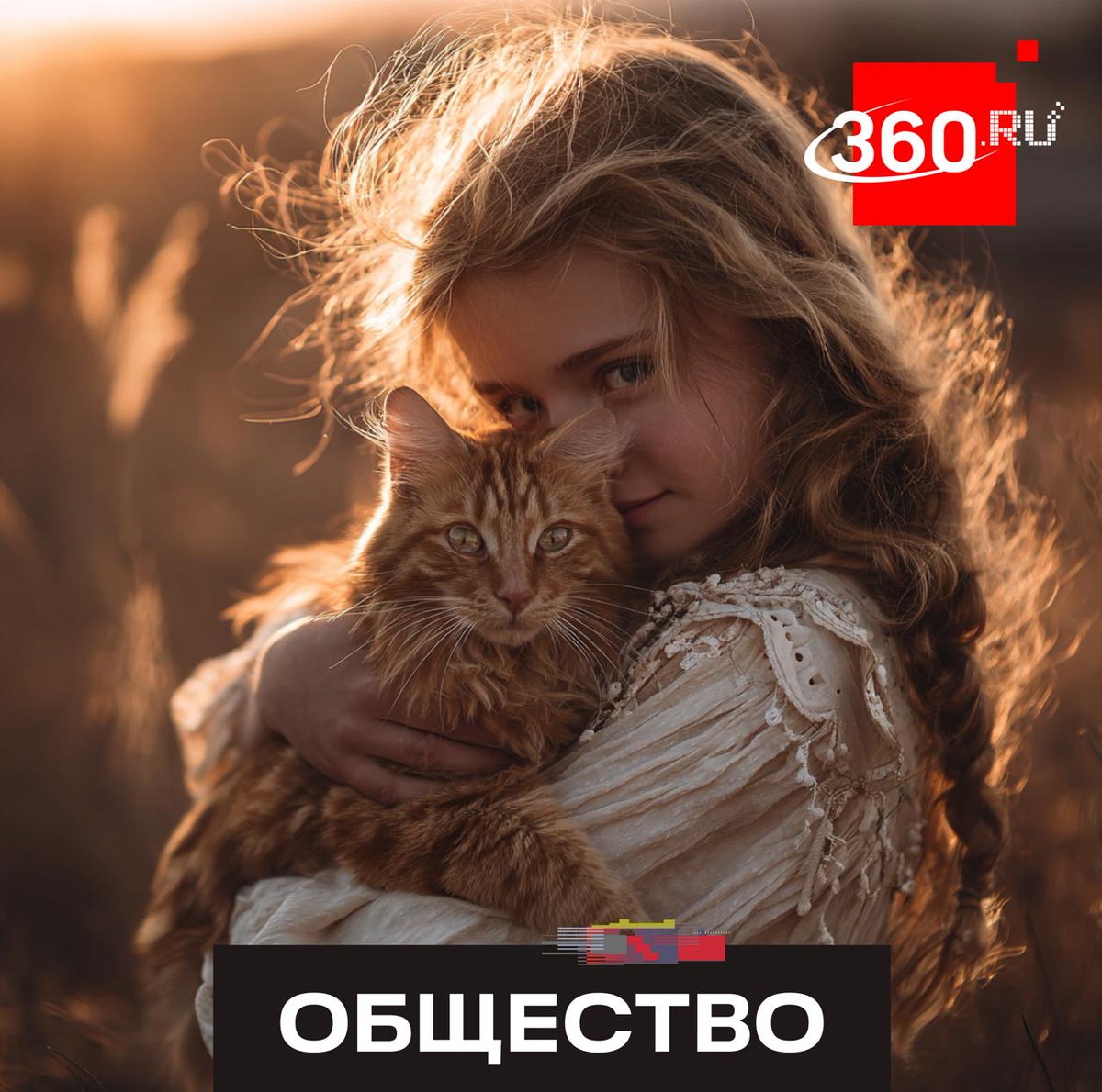 360tv's tweet photo. Excessive affection can stress cats, harming their health. They need personal space and should not be forced out of hiding. Chronic stress weakens their immune system and may trigger illnesses. https://t.co/KaJK9toRDs