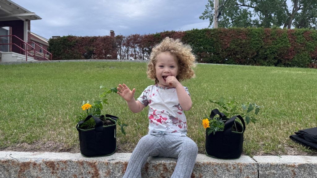 bhsn_ny's tweet photo. Healthy families nurture healthy gardens! ☀️🌻

Healthy Families NY kicked off the season of sunshine last Friday with their annual bucket garden event.

Participating families got to take home their very own plants to care for and thrive with 🌱 https://t.co/SkFFrE9x5s