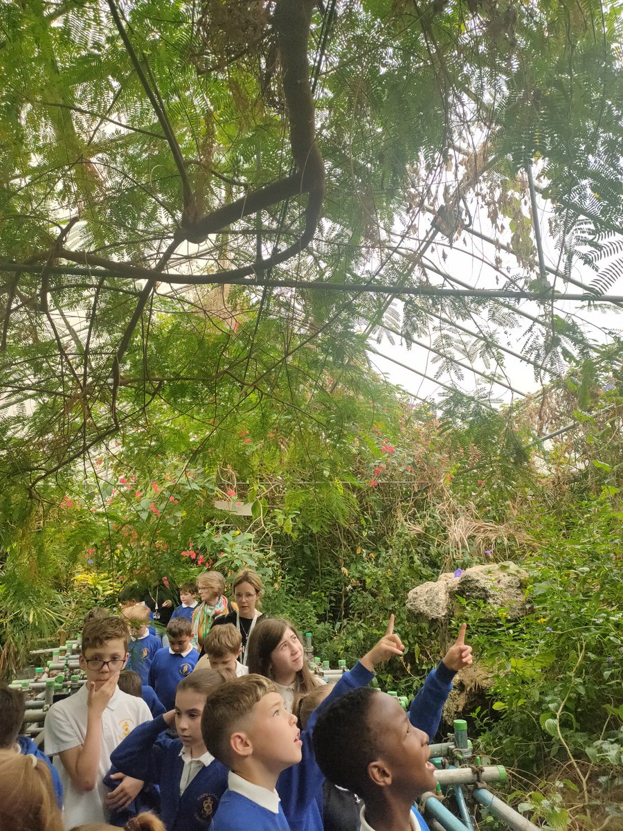 stjosephskly's tweet photo. Rowan class explored desert and rainforest habitats on their trip to Tropical World today, there was a lot to look at! #sjkgeography #sjkscience https://t.co/oNtgVrrGc2