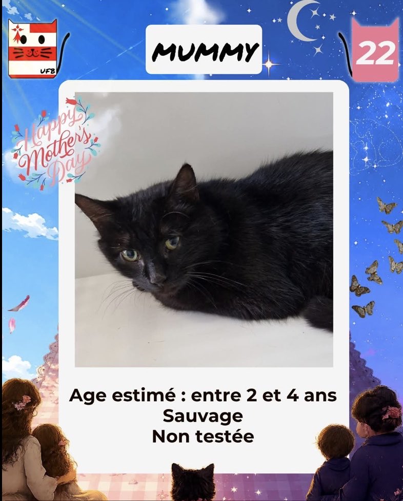 MAROBA3807's tweet photo. 🆘🆘🆘 URGENCE ABSOLUE POUR SAUVER MOMALO ET MUMMY DE L’EUTHANASIE !!! ILS SONT À L’ADOPTION, ET DÉJÀ HORS DÉLAI 🆘🆘🆘🆘🆘🆘🆘🆘🆘🆘🆘🆘🆘🆘🆘🆘🆘🆘

En fourrière dans le département 22 https://t.co/Ha7nAKJEdP