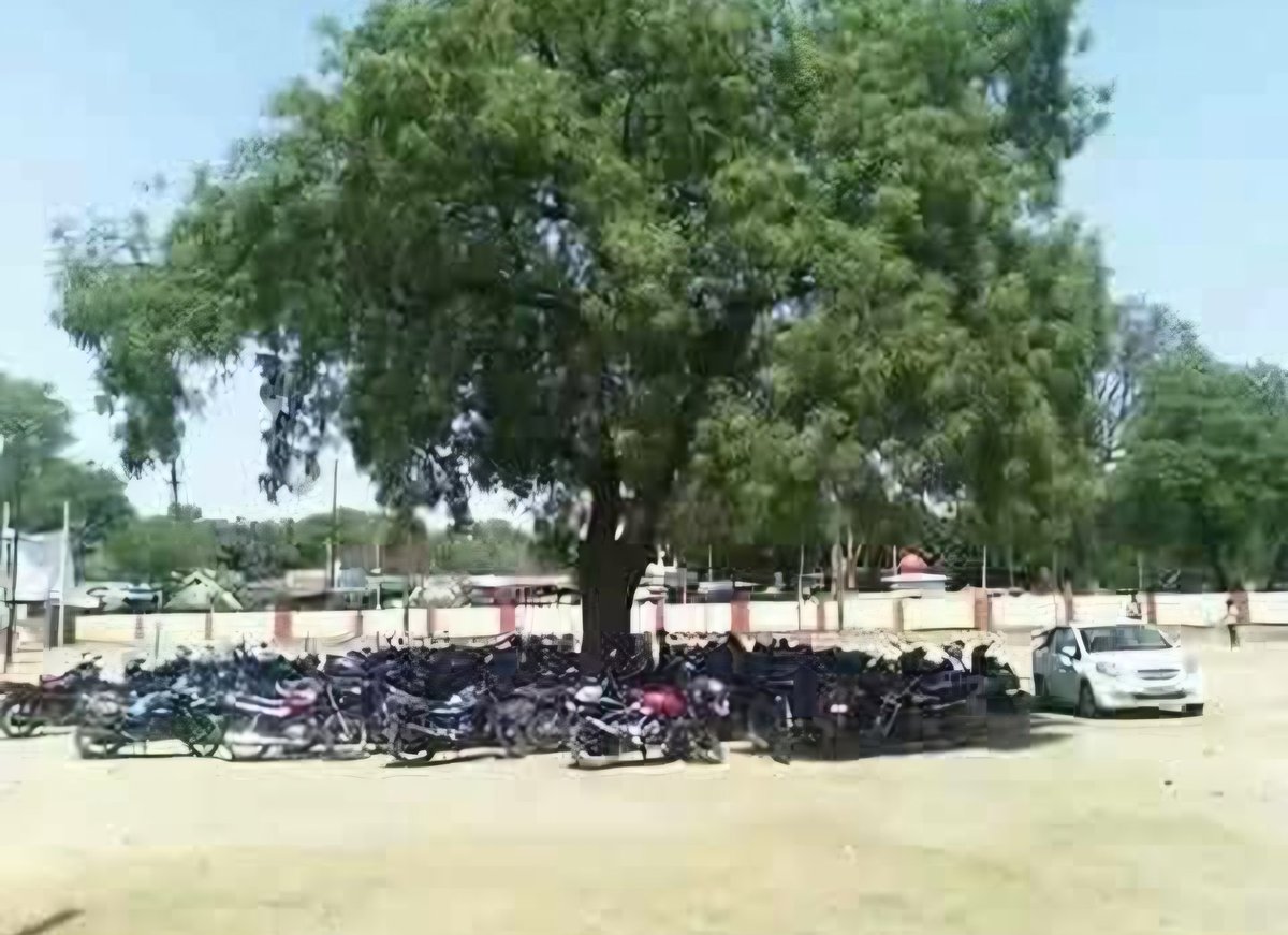 moomalgasagency's tweet photo. 🌱 पेड़ लगाओ, जीवन बचाओ; धरती को फिर स्वर्ग बनाओ।

🌍 हरियाली का होगा विस्तार, तभी सुरक्षित होगा संसार।

🌿 पेड़ नहीं तो प्राण नहीं, हरियाली से बढ़कर दान नहीं।

💚 "धरती माँ की यही पुकार,
पेड़ों से ही होगा उद्धार।" https://t.co/jTX5keWXo4