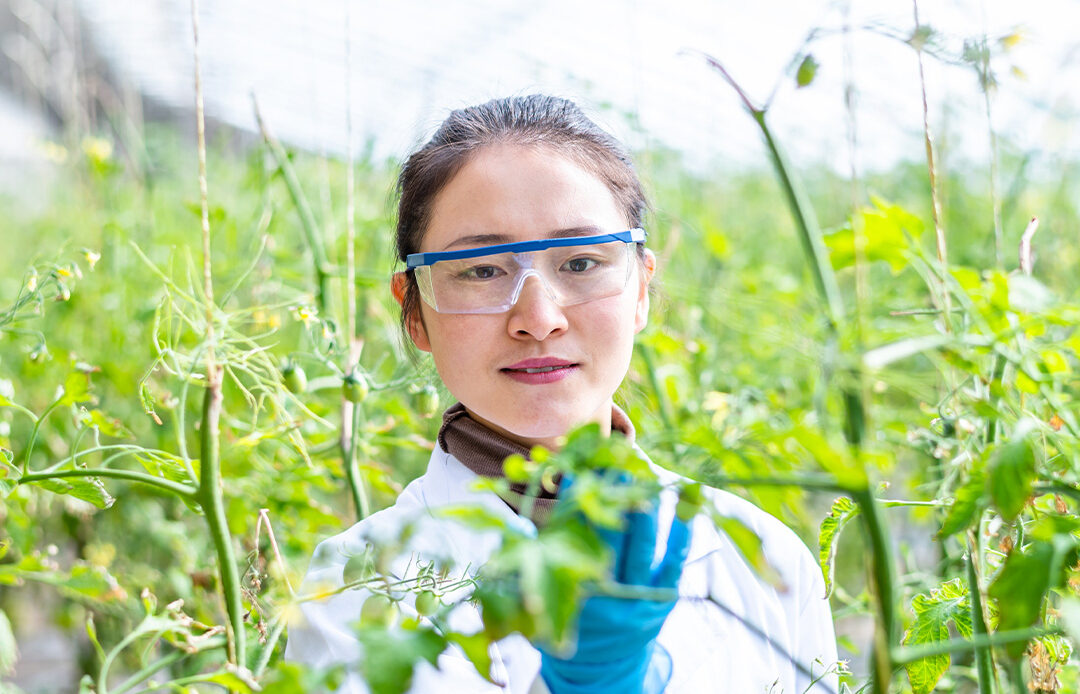 wilmu's tweet photo. Small actions can lead to big change. Explore how a degree in Environmental Science can help shape a more sustainable future ➡️ https://t.co/IL5EVANsaD https://t.co/q7crFqsvlh
