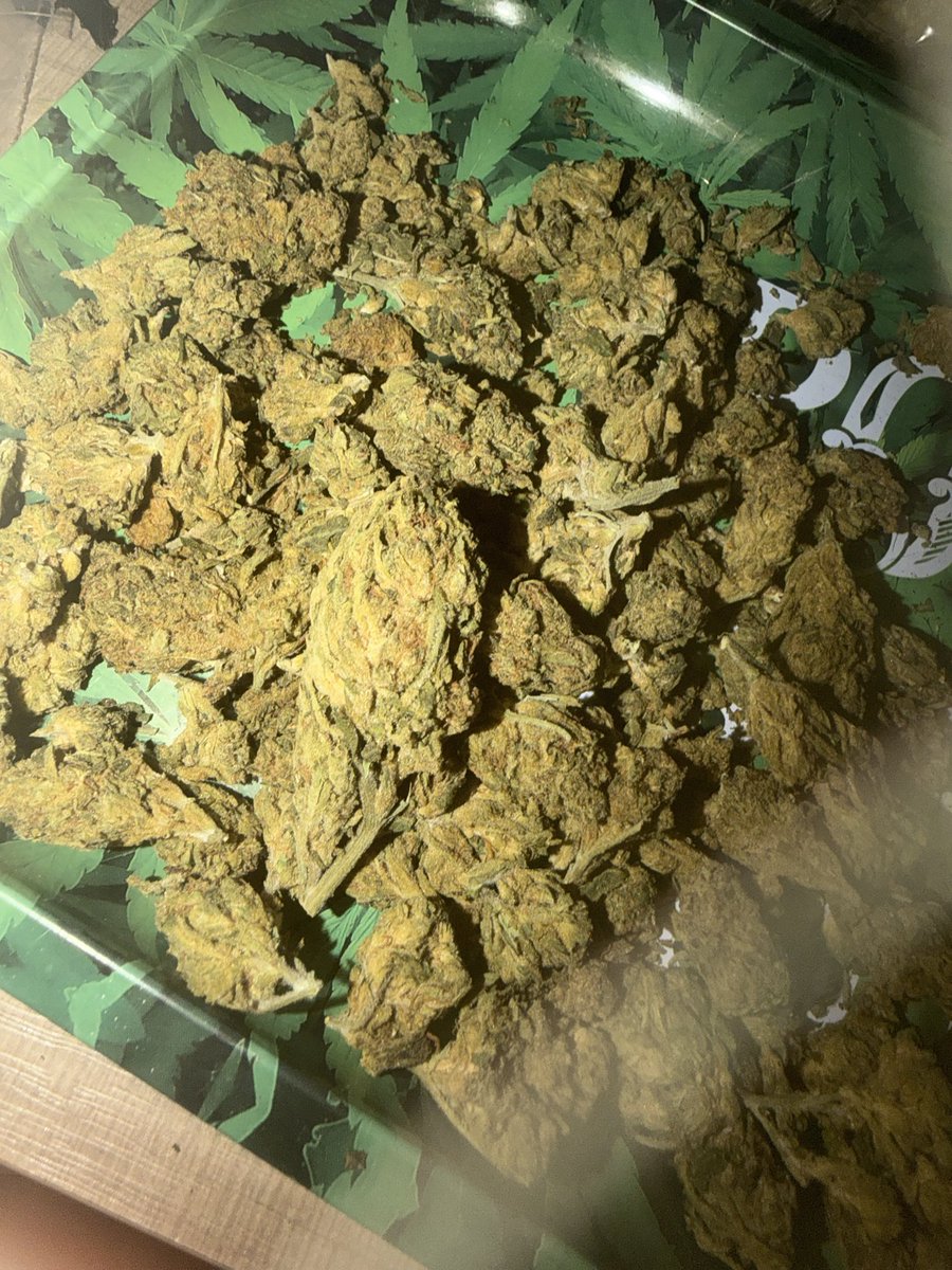 HoustonMunch's tweet photo. Sour apple 🍏 ⛽️.  7g/$25 

14g/$50 https://t.co/wokFdmMo6z