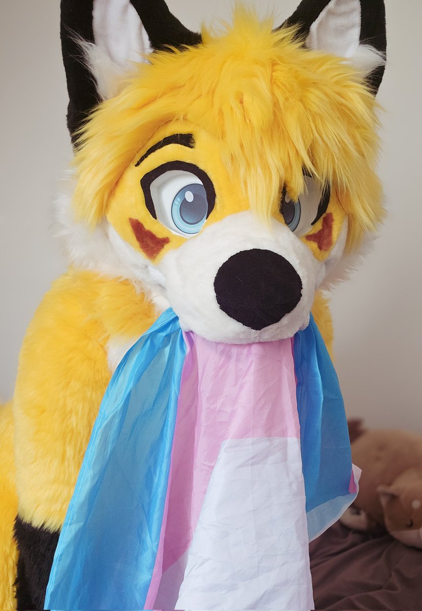 ErixaluArt's tweet photo. I wanted to share my colors for this #FursuitFriday 🏳️‍⚧️ 🫶 

 happy #pridemonth !

🪡 Head :@YellowDogCraft
🪡 Body : @StellaGryphon https://t.co/mspHSCDmnG