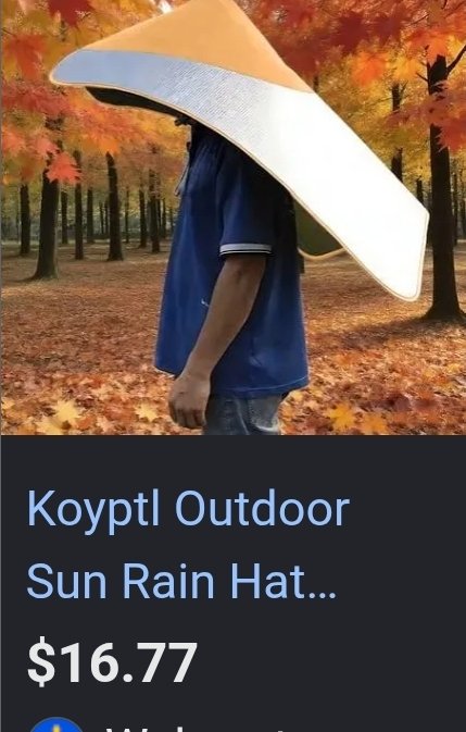 iDigArkansas's tweet photo. @bryan_johnson These flying nun-style hats would keep your hands free to garden, etc. 🙂 Happy you had a wonderful experience! https://t.co/qwdH4W171U